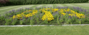 Floriade 2022, blauw en geel combinatie